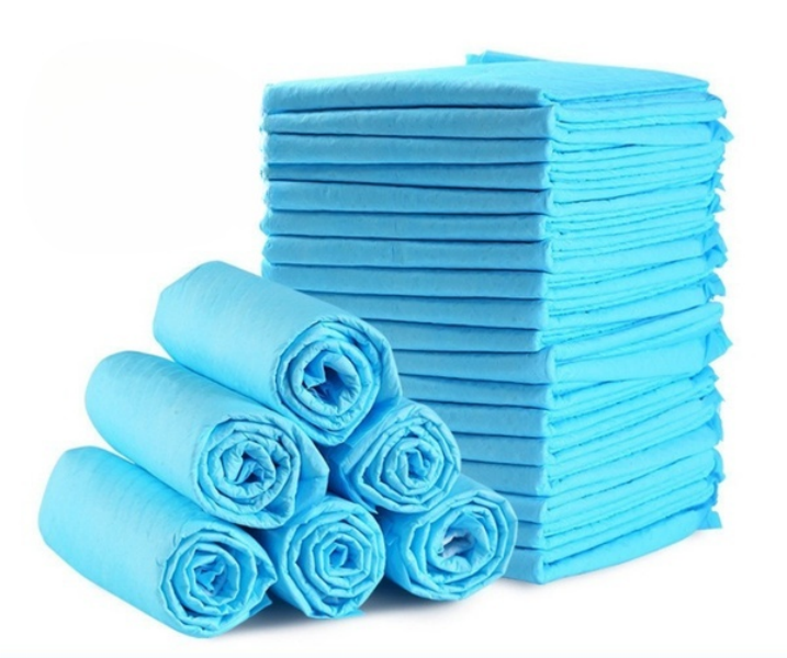 40-Pack Puppy Training Pads-Super Absorbent, Leak-Proof, Easy Clean (L)