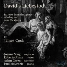 James Cook: David's Liebestod (CD / Album)