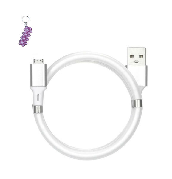 Micro Magnetic Data Cable &amp; Key Holder