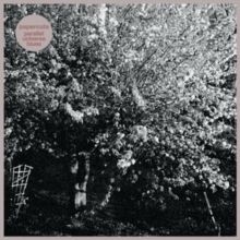 Parallel Universe Blues (Vinyl / 12" Album)
