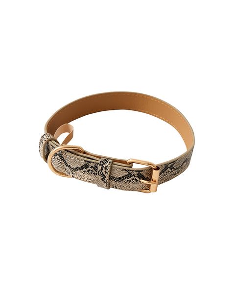 Dog Collar - Snake Skin Print - Large