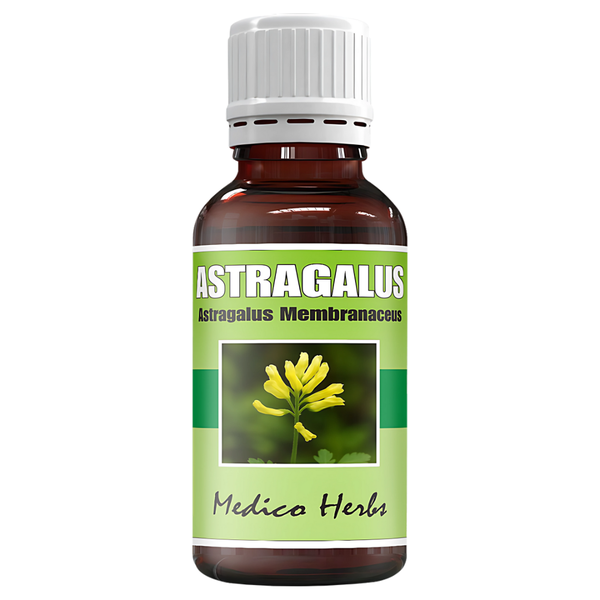 Astragalus Immune Booster Drops 50ml