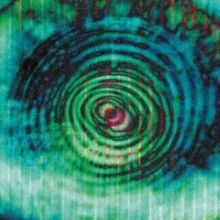 Velvet Noise (Vinyl / 12" Album)