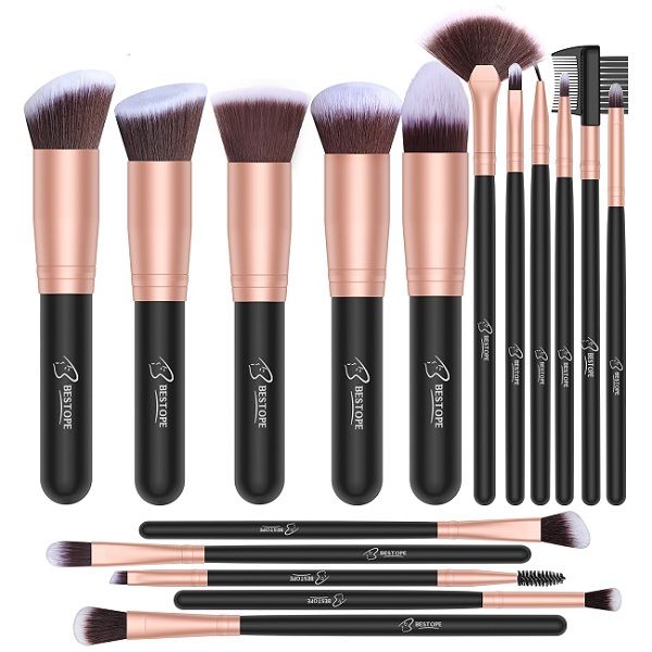 Make Up Brush Kit