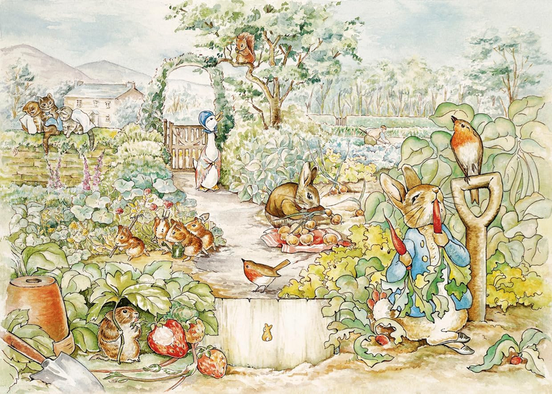 Kids Birthday Party and Photography Backdrop - Peter Rabbit