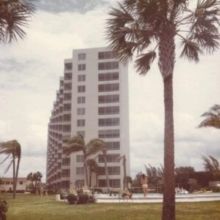 Sun Pavillion (Vinyl / 12" Album)