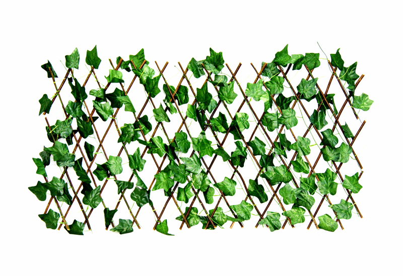 Trellis-expandable 1.2m-Fine living