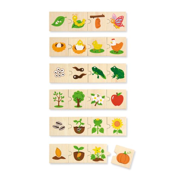 Growing Puzzle Set