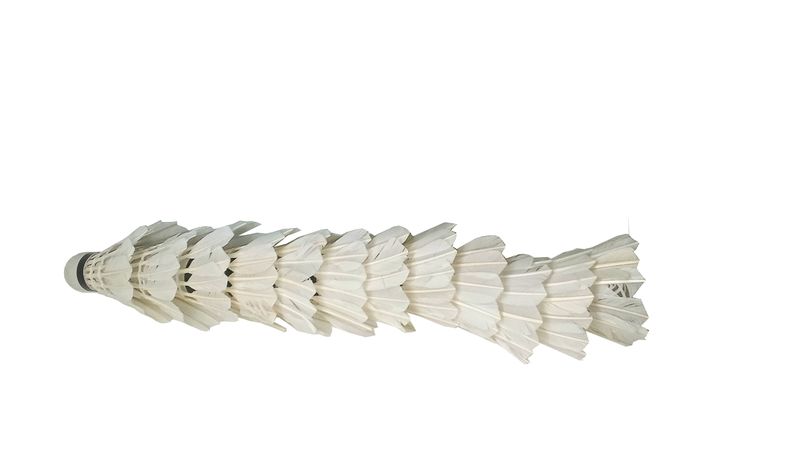 Fury Shuttlecock - Pack of 12