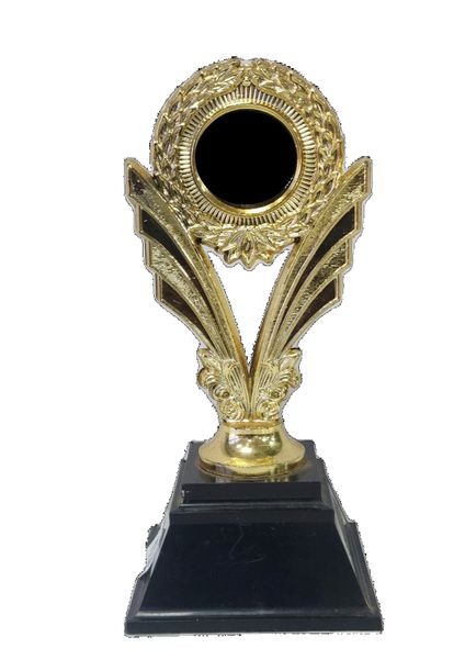 Pack of 10 Gold Trophies L2S (AA)