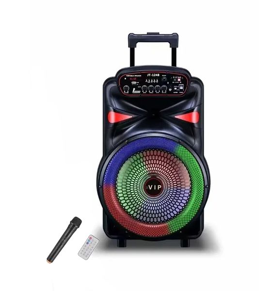 12Inch Portable Outdoor Speaker, wireless speaker with microphone JT-1248