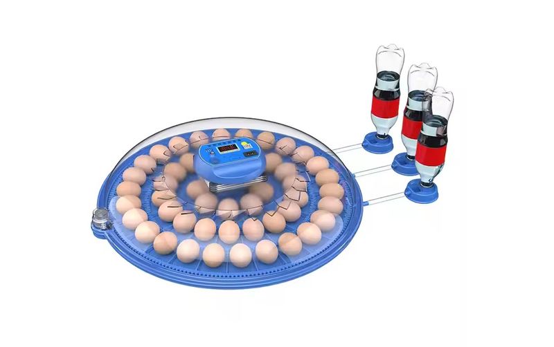 Round Blue 52 Egg Incubator -Dual Power