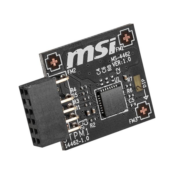Msi Tpm2.0 4462