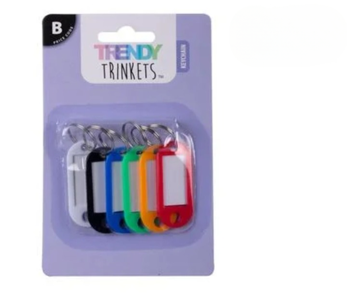 6-Pack Quick-Label Keychain Tags - Perfect for Home &amp; Office