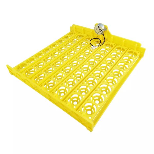 56 Egg Tray for Incubator + 12 Volt Motor