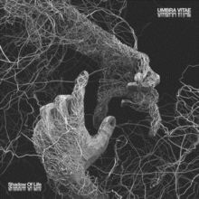 Shadow of Life (CD / Album)