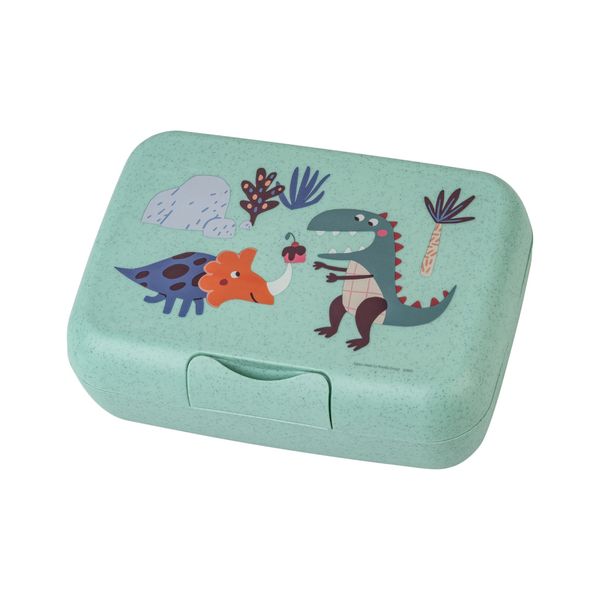 Koziol Candy Rex Kids Lunch Box with Divider