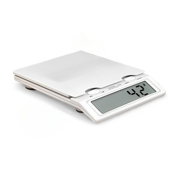 Digital Scale