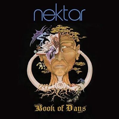 Book of Days (Vinyl / 12" Album Coloured Vinyl)