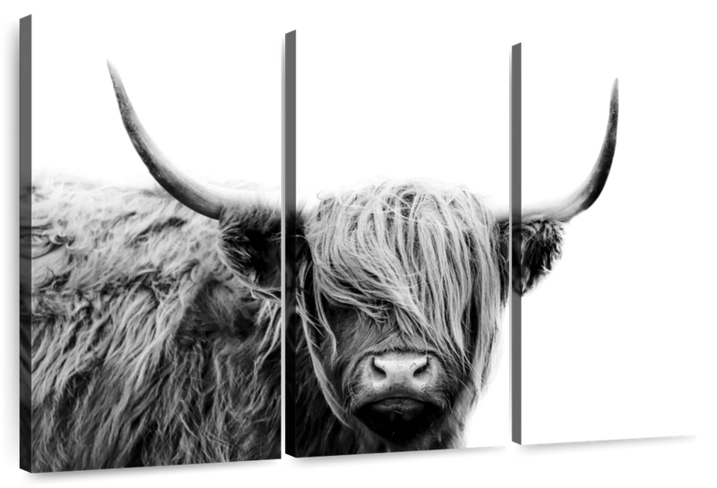 Canvas Art - Field Cow 3 Piece Canvas Wall Art Living Bedroom Decor