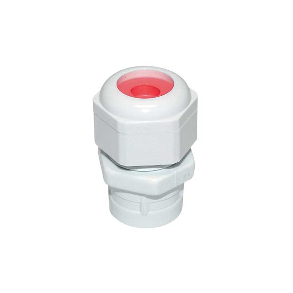 Conduit Box Gland 20mm - Red Grommet - White - Size 1