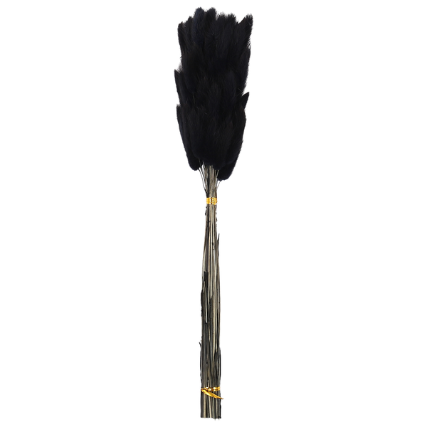 60Piece Fall Dried Flowers Bunny Tails Flowers for Dried Floral(Black)