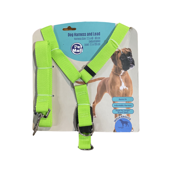 Dog Harness and Lead