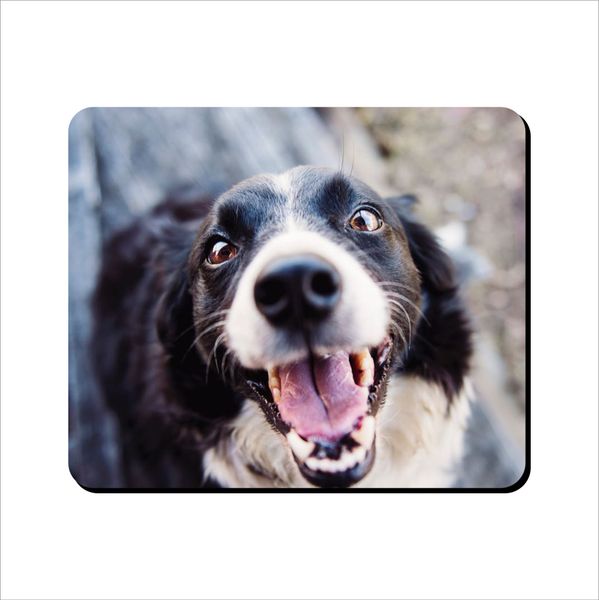 Mouse Pad - Cute Border Collie