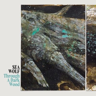 Through a Dark Wood (Vinyl / 12" Album)