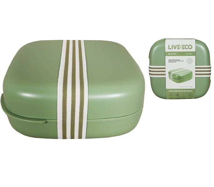 Plastic Square 2 Division Lunch Box