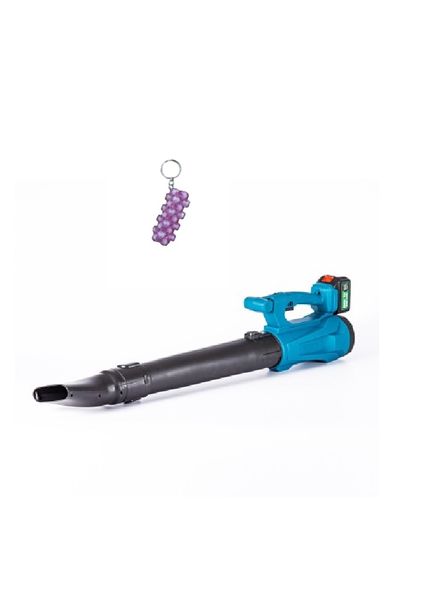 Cordless Electric Leaf Blower And A Keyholder