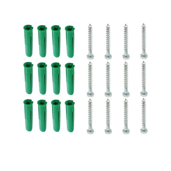 Space TV Steel Coach Screws with Wall Plugs - 12 each
