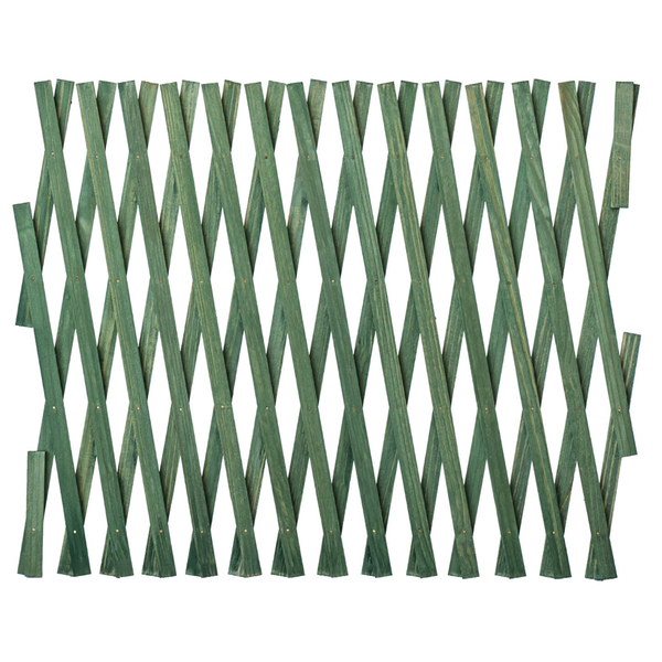 Expanding Trellis Green 600mm
