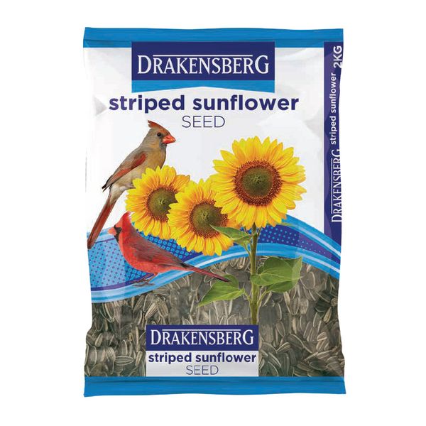 Drakensberg - Blue Bag - Sunflower - Striped - 5Kg - 3 Pack