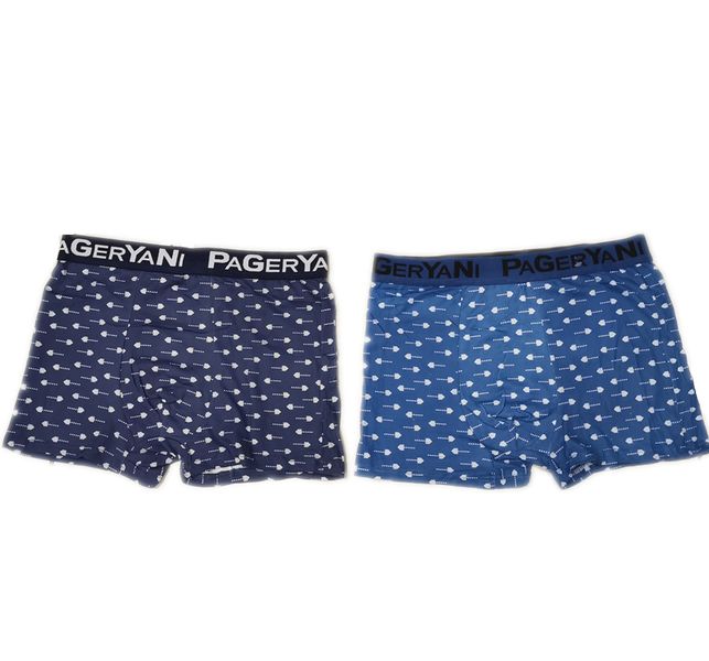 2 x Ecowear Bamboo Boxers For Men Men's Boxers Underwear