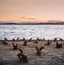 A Day at the Beach (Vinyl / 12" Album Coloured Vinyl)