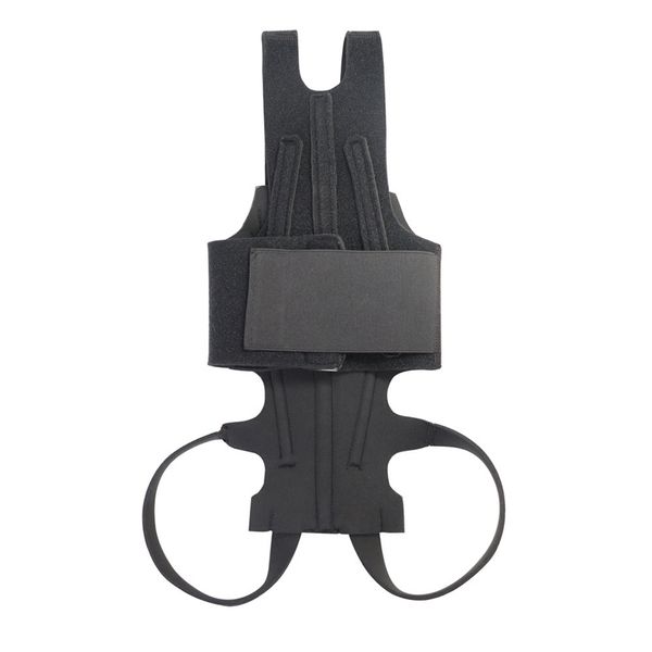 Dog Back Brace For Ivdd Pet Dog Back Brace Comfortable Dog Back M