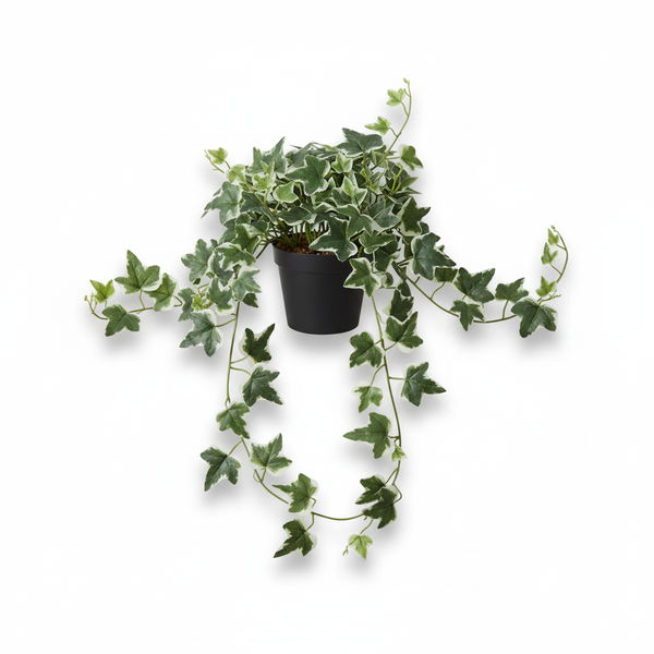 Lush Potted Realistic Artificial Canary Island Ivy Vine