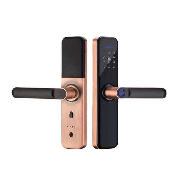 Smart Home Door Lock