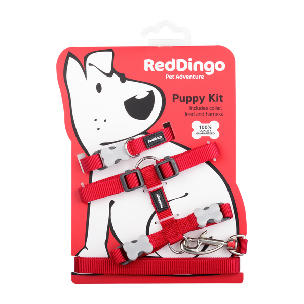 Red Dingo - Classic Puppy Starter Kit