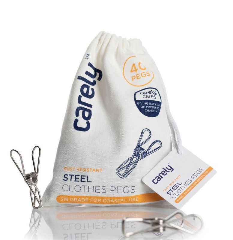 Carely Stainless Steel Clothes Pegs 40 Pegs (Silver) Shop Today