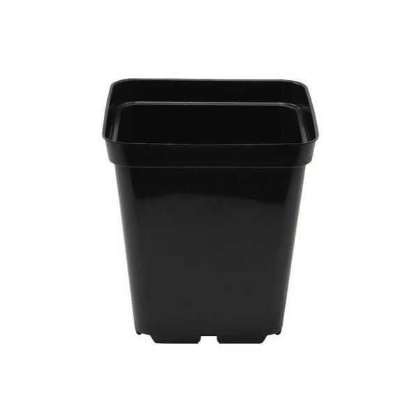 Square Plant Pot 10cm - 0.7L | Shop Today. Get it Tomorrow! | takealot.com