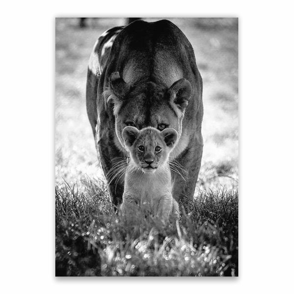 Lion Cub And Mother Poster - A1