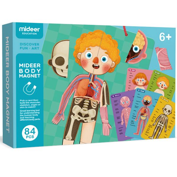 Mideer Human Body Magnet Set