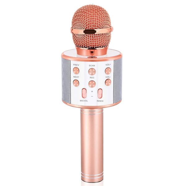 USB Rechargeable Kids Karaoke Bluetooth Microphone &amp; HIFI Speaker