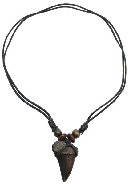 Fossilized Shark Tooth Necklace - 3.5cm x 2.6cm - Medium