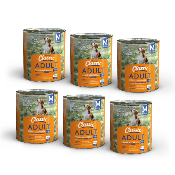 Montego Classic Dog Wet Food Gravy & Steak 6 x 775g Shop Today