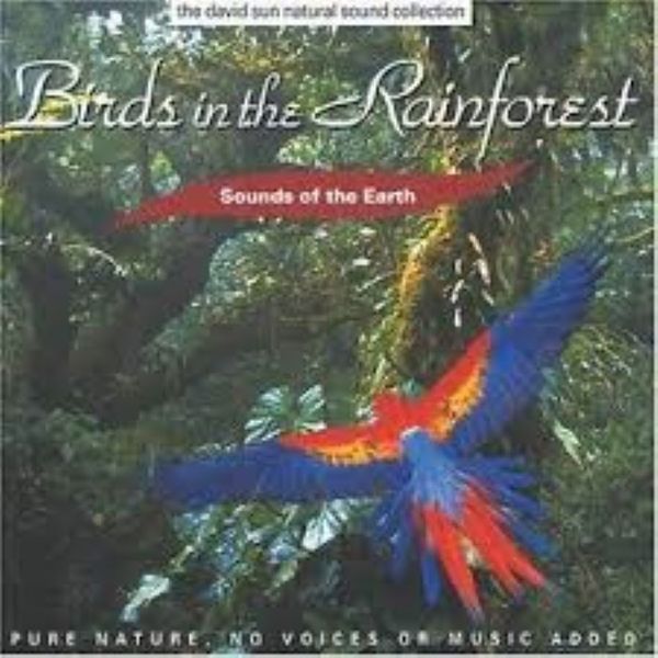 Sounds Of The Earth - Birds In The Rainforest