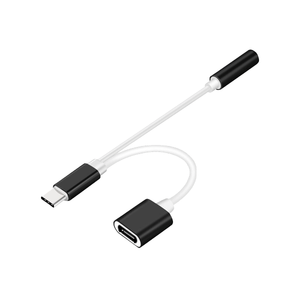 2 in 1 USB Type-C Audio Adapter Cable