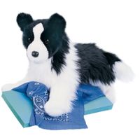 douglas border collie